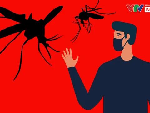 Sốt xuất huyết diễn biến phức tạp - Vì sao khó dập dịch?