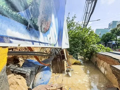 Nguyên nhân đường ở Quy Nhơn bất ngờ sụt lún 'nuốt chửng' cây xanh, trụ điện