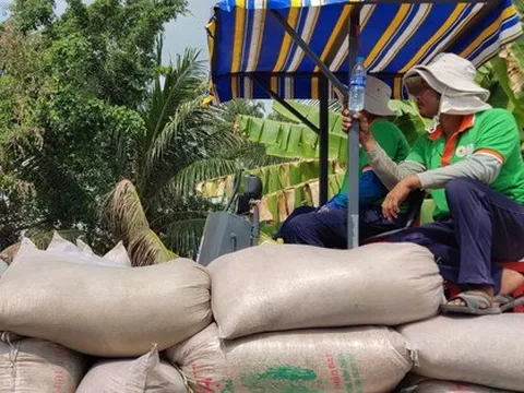 Philippines áp trần giá gạo, nhà nhập khẩu đòi hủy đơn hàng, gạo Việt Nam sẽ ra sao?
