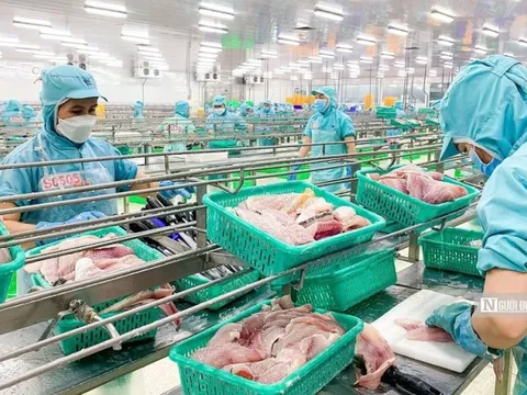 8 tháng năm 2023, xuất khẩu thủy sản thu về gần 5,8 tỷ USD