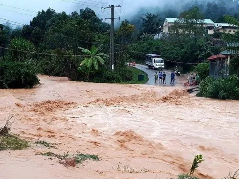 Quảng Nam: Thương tâm người phụ nữ bị nước lũ cuốn khi đi gặt lúa
