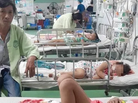 Quảng Nam: Bốn mẹ con bị đàn ong vò vẽ đốt phải nhập viện