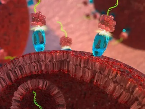 Đột phá: Tìm ra cách đảo ngược sự phát triển của ung thư