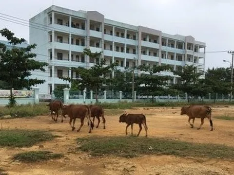 Cần ưu tiên gần 1.200 tỷ triển khai Dự án khu đô thị Đại học Đà Nẵng