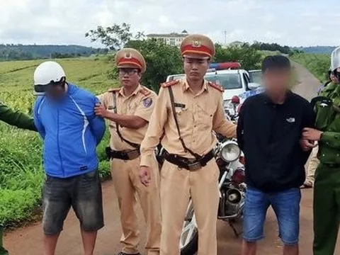 Hai đối tượng gây ra nhiều vụ cướp giật tài sản bị bắt giữ