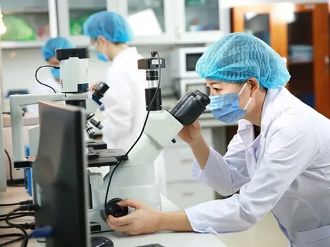 Thủ tục xét đặc cách bổ nhiệm vào chức danh khoa học không qua thi thăng hạng