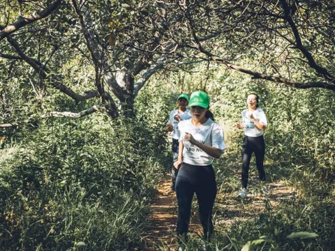 Tỉnh đoàn Khánh Hòa sẽ tổ chức giải marathon và leo núi vì môi trường