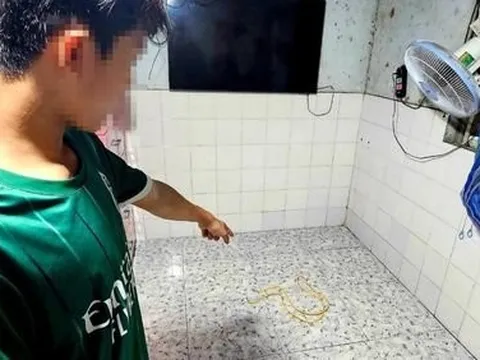 Bình Dương: Thông tin mới vụ chồng chích điện, đâm vợ trọng thương