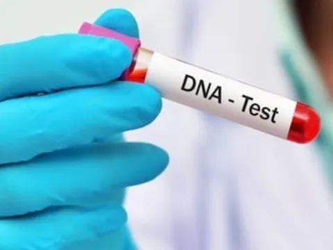 Người mẹ trẻ giả câm điếc, cầu xin đổi kết quả ADN để con trai nhận bố giàu có