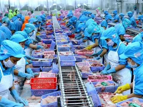Trong 10 năm, một mặt hàng xuất khẩu của Việt Nam sang Mỹ tăng 80% tổng trị giá