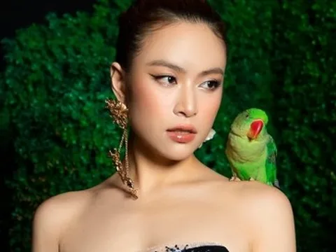 Hoàng Thùy Linh và 2 lần phát ngôn gây tranh cãi tại họp báo