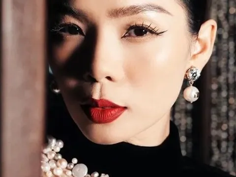 Lệ Quyên đáp trả khi được khuyên "đừng cố quá"