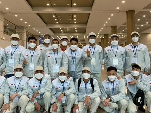 Miễn xử phạt lao động bất hợp pháp tại Hàn Quốc