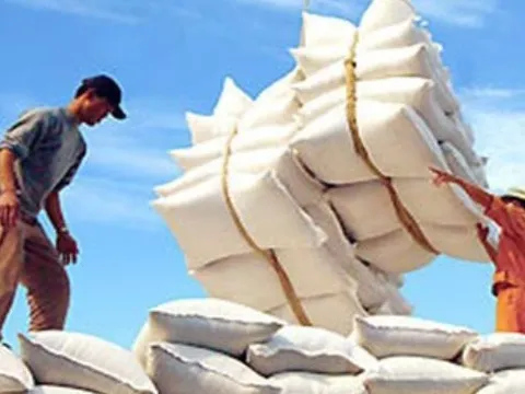 Xuất cấp gạo cho 6 địa phương hỗ trợ Nhân dân thời gian giáp hạt năm 2023