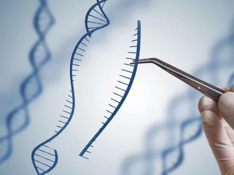 Bố thấy con tính cách khác mình, quyết xét nghiệm ADN: Kết quả đầy đau xót