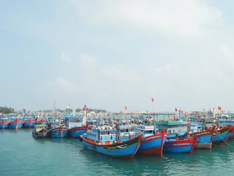Quảng Ngãi cần quản lý chặt chẽ đội tàu, sản lượng khai thác thủy sản