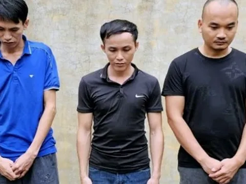 Vạch trần chân tướng nhóm người làm chủ nhiều công ty “ma”