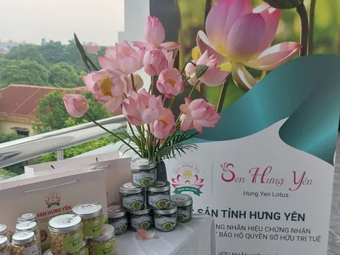 Sen Hưng Yên được cấp chứng nhận đăng ký nhãn hiệu