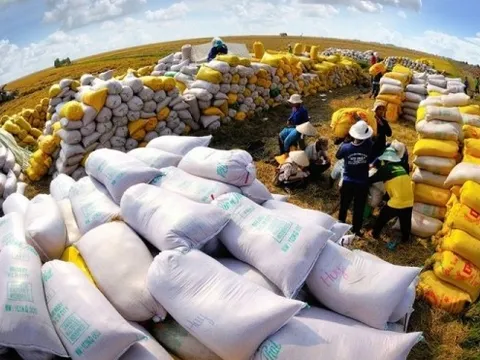 Doanh nghiệp lúa gạo, thuỷ sản: Vốn ngân hàng “lúc không cần thì có, lúc khó lại không thấy”