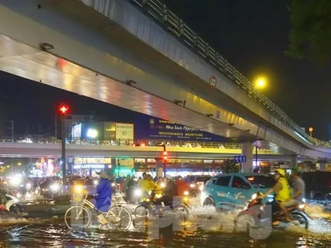 Cây đổ, đường hoá sông sau cơn mưa lớn ở TPHCM