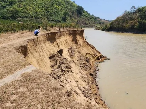 Đắk Lắk chỉ đạo dừng khai thác cát trên các đoạn sông bị sạt lở