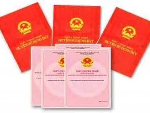 Thủ đoạn của nữ quái mạo danh thanh tra, nhà báo để lừa đảo, chiếm đoạt hơn 12 tỷ đồng