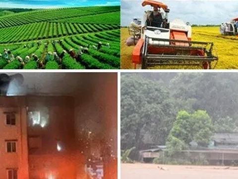 Chỉ đạo, điều hành của Chính phủ, Thủ tướng Chính phủ nổi bật tuần từ 11-15/9/2023