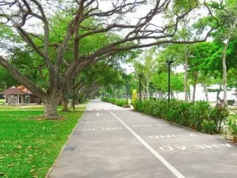 Quốc gia Đông Nam Á trở thành "Vùng Xanh" thứ 6 của thế giới