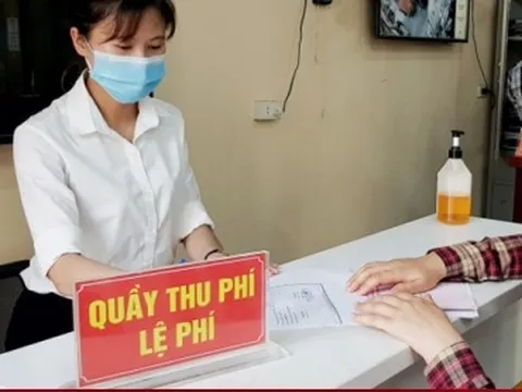 Cấm người thân cán bộ vi phạm vào hội đồng kỷ luật, chủ trì họp kiểm điểm
