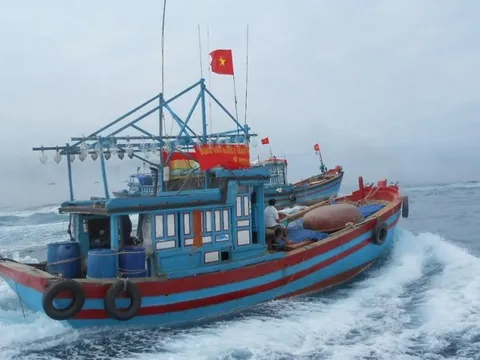 Máy bay đưa ngư dân bị bệnh nặng từ đảo Trường Sa về bờ điều trị