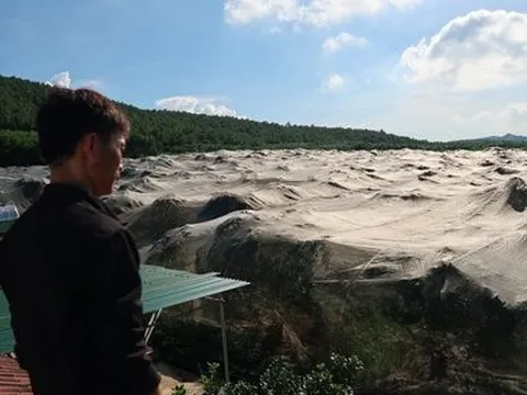 Giăng màn "khổng lồ" cho cam, người nông dân bỏ túi tiền tỷ mỗi năm