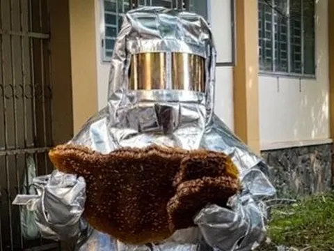 Đồng Nai: Xử lý tổ ong “khủng” tại trường học