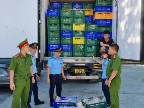 Phát hiện 10 tấn gà đông lạnh không rõ nguồn gốc đang đi tiêu thụ