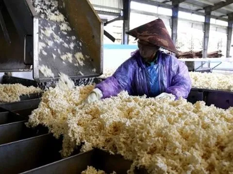 Nga bất ngờ tăng nhập khẩu một mặt hàng của Việt Nam gấp 4 lần trong 8 tháng đầu năm, Việt Nam xuất khẩu đứng thứ 3 thế giới