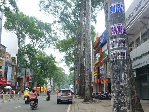 Loạt trụ đèn lộ vẻ nhếch nhác sau tháo cỏ nhựa, quận 5 nói gì?