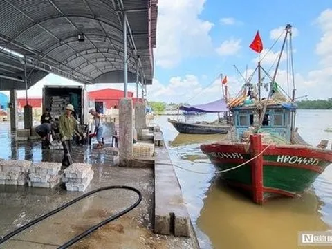 Hải Phòng: Được mùa tép biển, ngư dân kiếm tiền triệu mỗi ngày