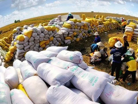 Liên tiếp lập kỷ lục, nông sản Việt thành 'ngôi sao' trên thị trường thế giới