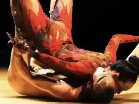 Dương Lệ Bình bị yêu cầu cấm biểu diễn vì quá dung tục