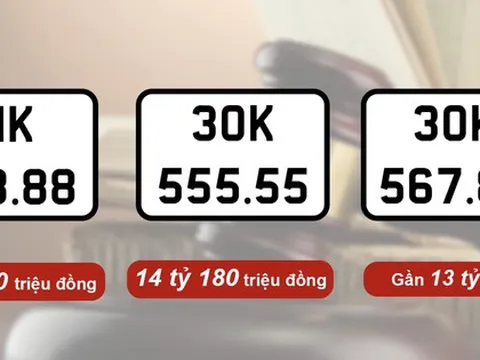 95 biển số ô tô đã đấu giá, mới có 7 người nộp tiền