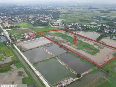 Chính quyền vào cuộc vụ đất lúa của 18 hộ dân bị bao chiếm, xâm phạm