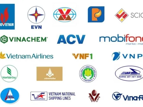 19 tập đoàn, tổng công ty Nhà nước thay đổi ra sao sau khi về chung 'mái nhà' Ủy ban Quản lý vốn Nhà nước tại doanh nghiệp?