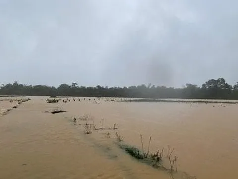 Hà Tĩnh: Cứu 2 người dân thoát chết trên sông trong mưa lũ