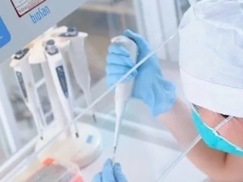 Vừa hết tuần trăng mật, vợ 'chết đứng' khi biết chồng có con riêng