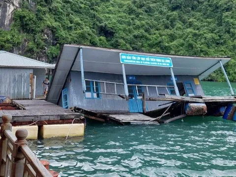 Quảng Ninh: Sớm sửa chữa, phục hồi các nhà bè bảo tồn ở vịnh Hạ Long