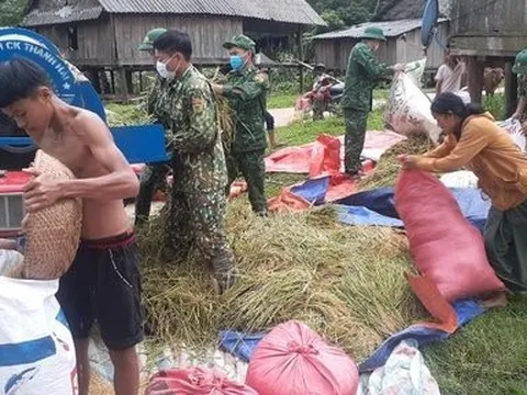 Ảnh: Cánh đồng lúa vùng biên giới thấm đẫm tình quân dân