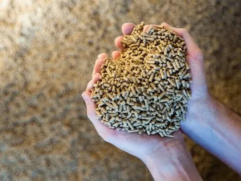 Trung Quốc bất ngờ tăng mạnh nhập khẩu một mặt hàng của Việt Nam dù là nước xuất khẩu số 1 thế giới, nước ta có sản lượng "khủng" hơn 26 triệu tấn trong năm 2022