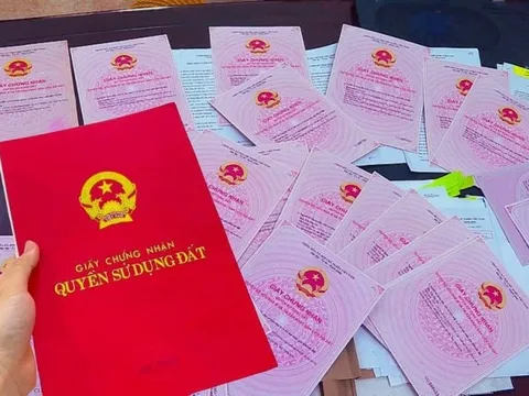 Đồng Nai: Nguyên Chủ tịch phường bị khởi tố