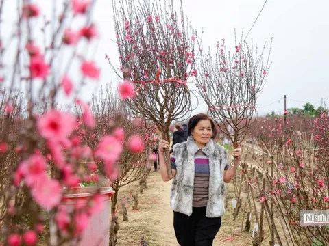 Vì sao không lập phương án nghỉ Tết Nguyên đán cố định hàng năm?