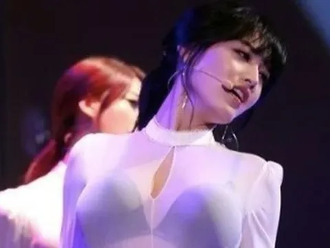 Ở Việt Nam, ai cầm mic đi hát cũng là ca sĩ, nhưng ở Hàn Quốc thì không