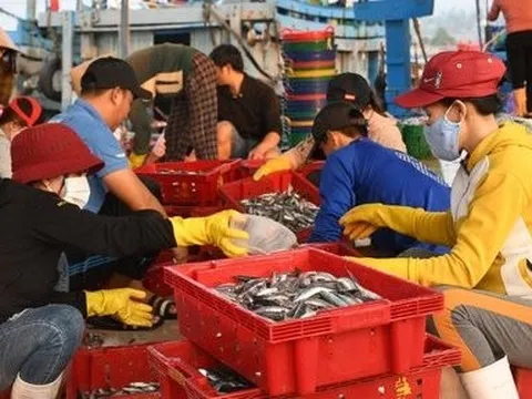 Nhiều nơi ngay thành phố Quảng Ngãi dân phải dùng nước nhiễm phèn, mặn